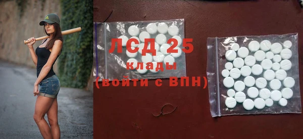 гидра Гусев