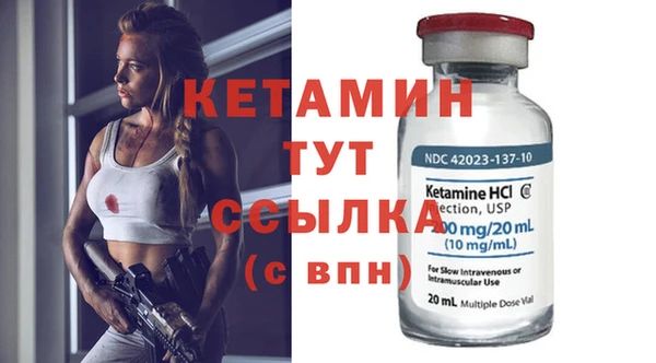 гидра Гусев