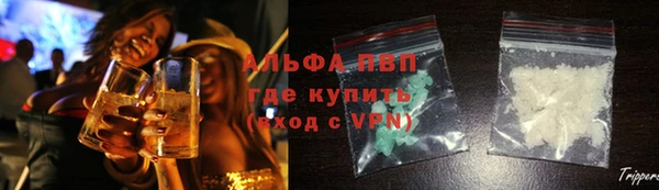 гидра Гусев