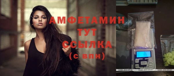 гидра Гусев