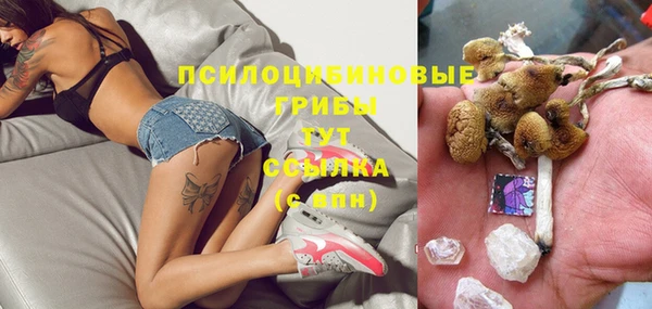 гидра Гусев