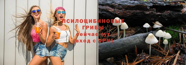 метадон Гусиноозёрск
