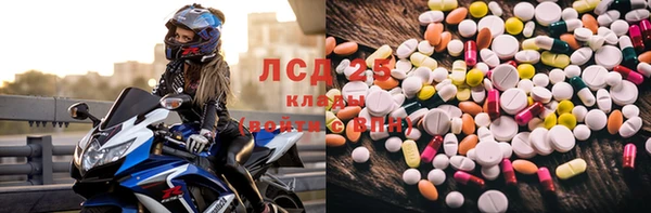 гидра Гусев