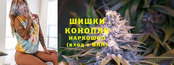 гидра Гусев