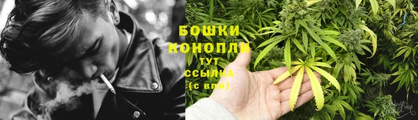 гидра Гусев