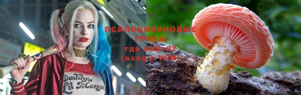гидра Гусев