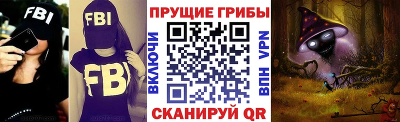 Псилоцибиновые грибы Psilocybe  Севск 